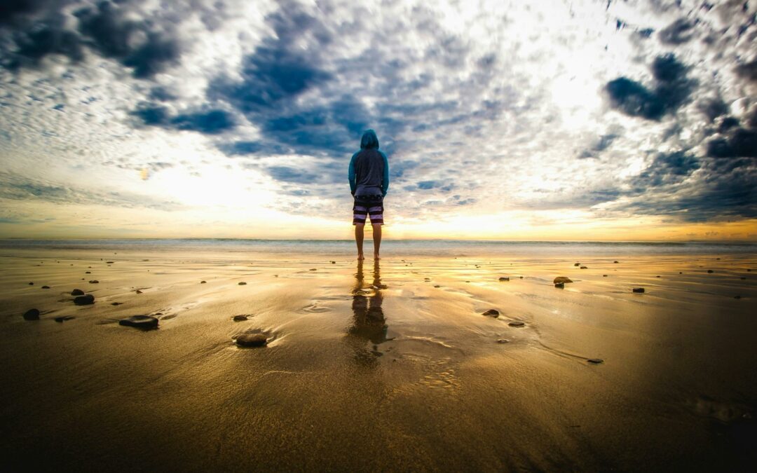 Les différents types de greffes d&rsquo;organes